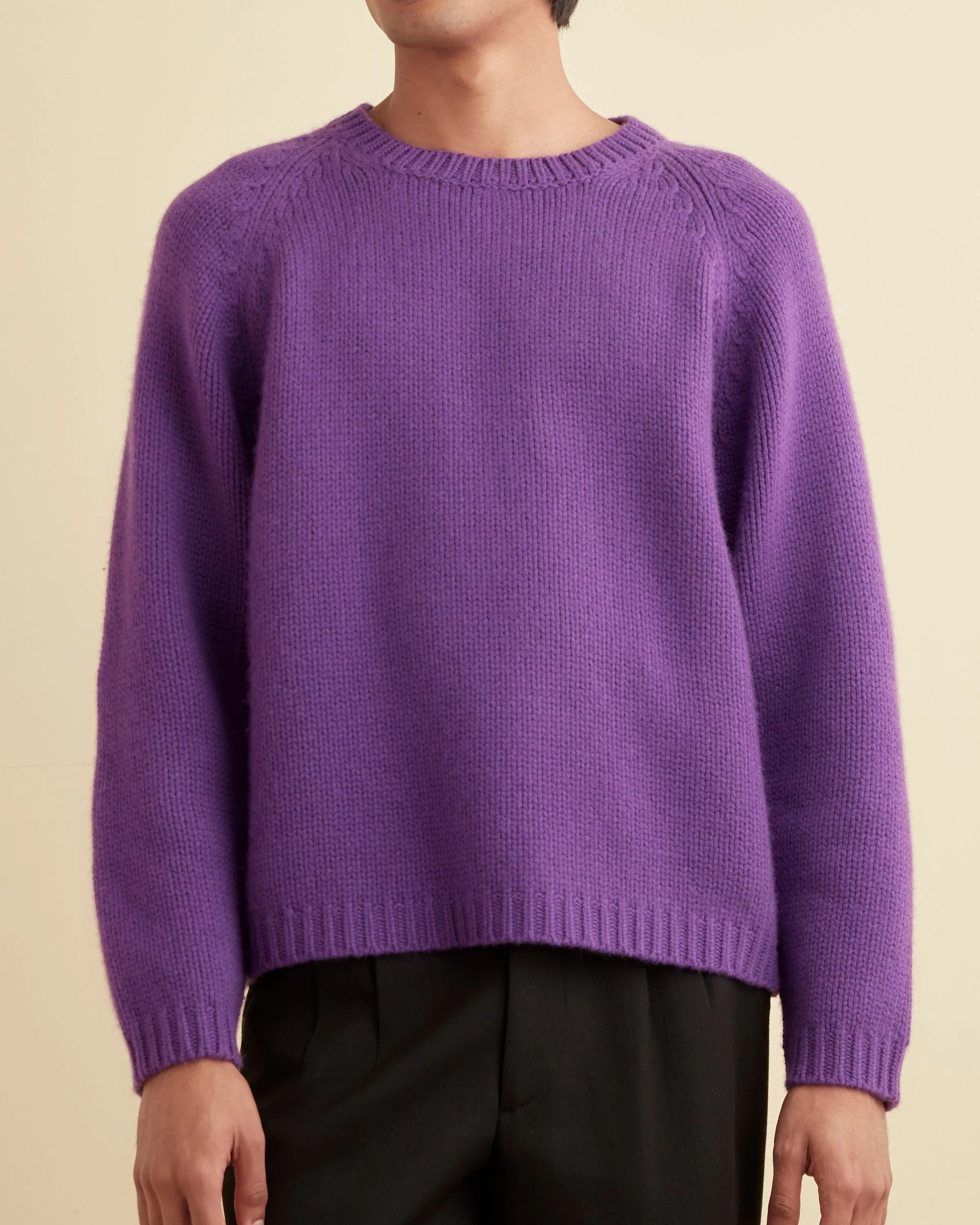 Cashmere Crewneck Sweater - Purple