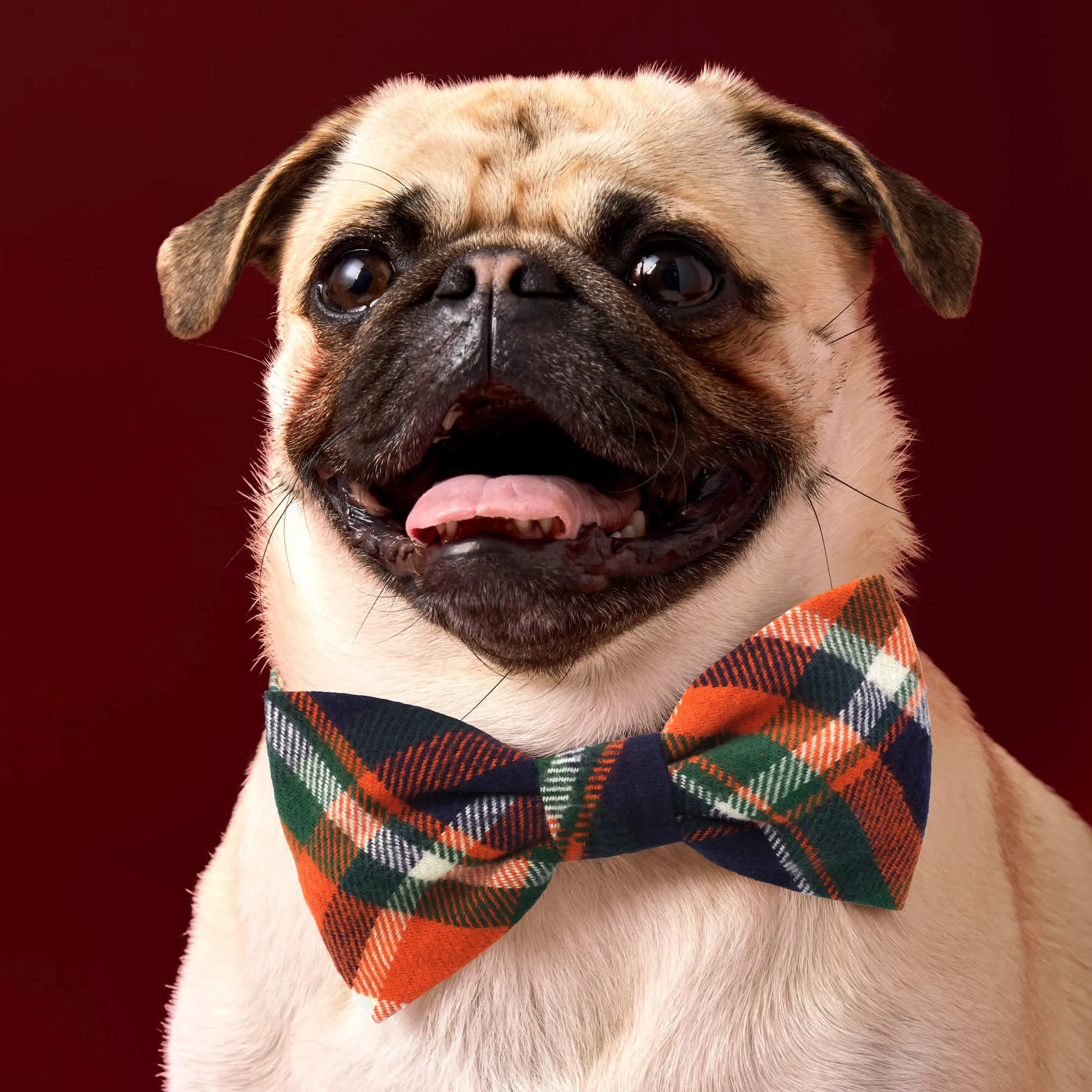 Dakota Plaid Flannel Dog Bow Tie