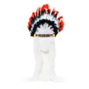 Indian Chief Headdress