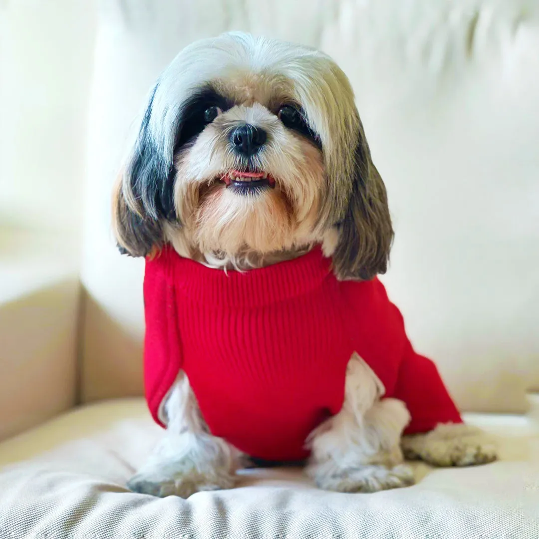 Red Reindeer Knit Sweater