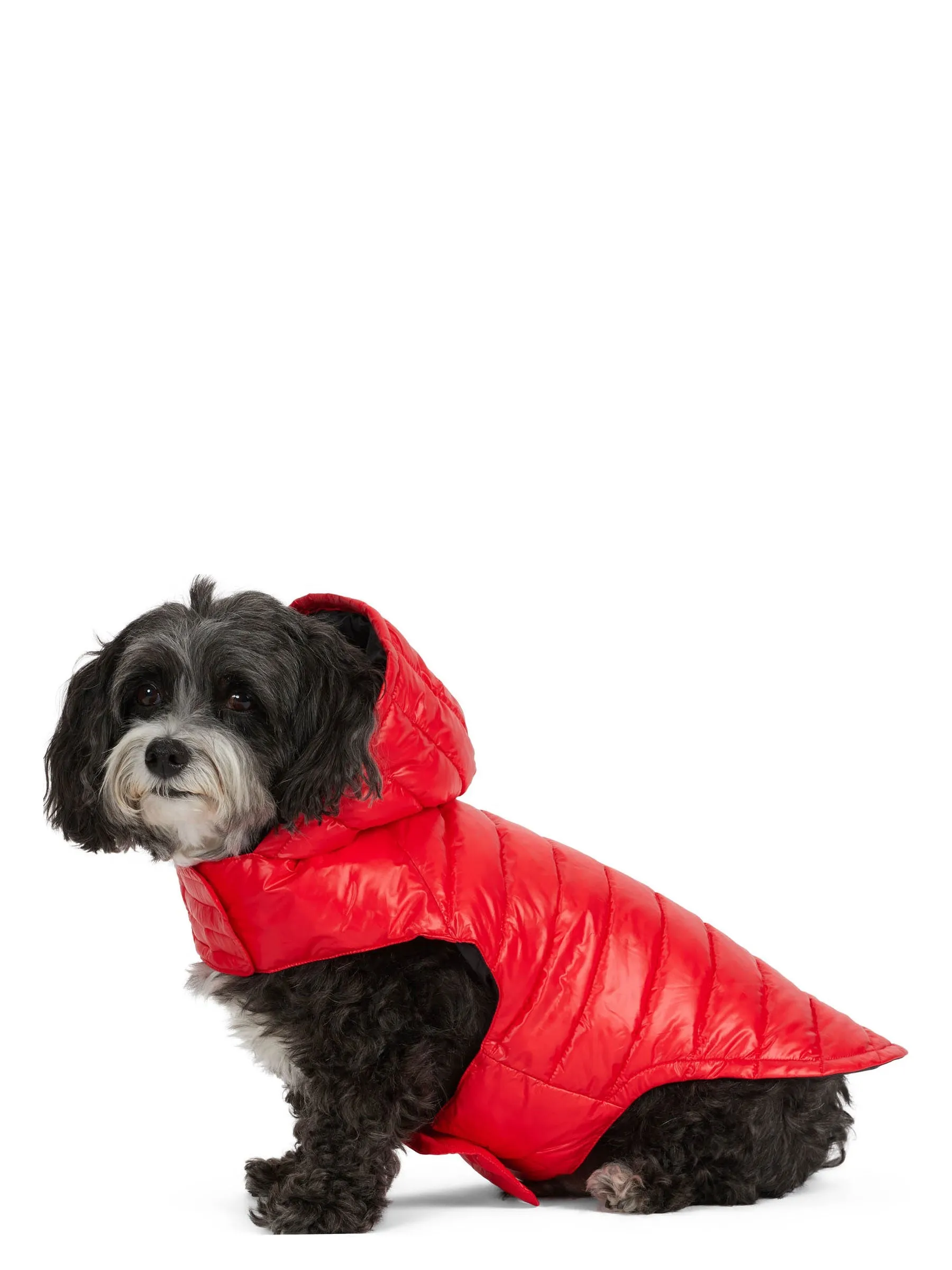 Seymour Lightweight Puffer for Dogs