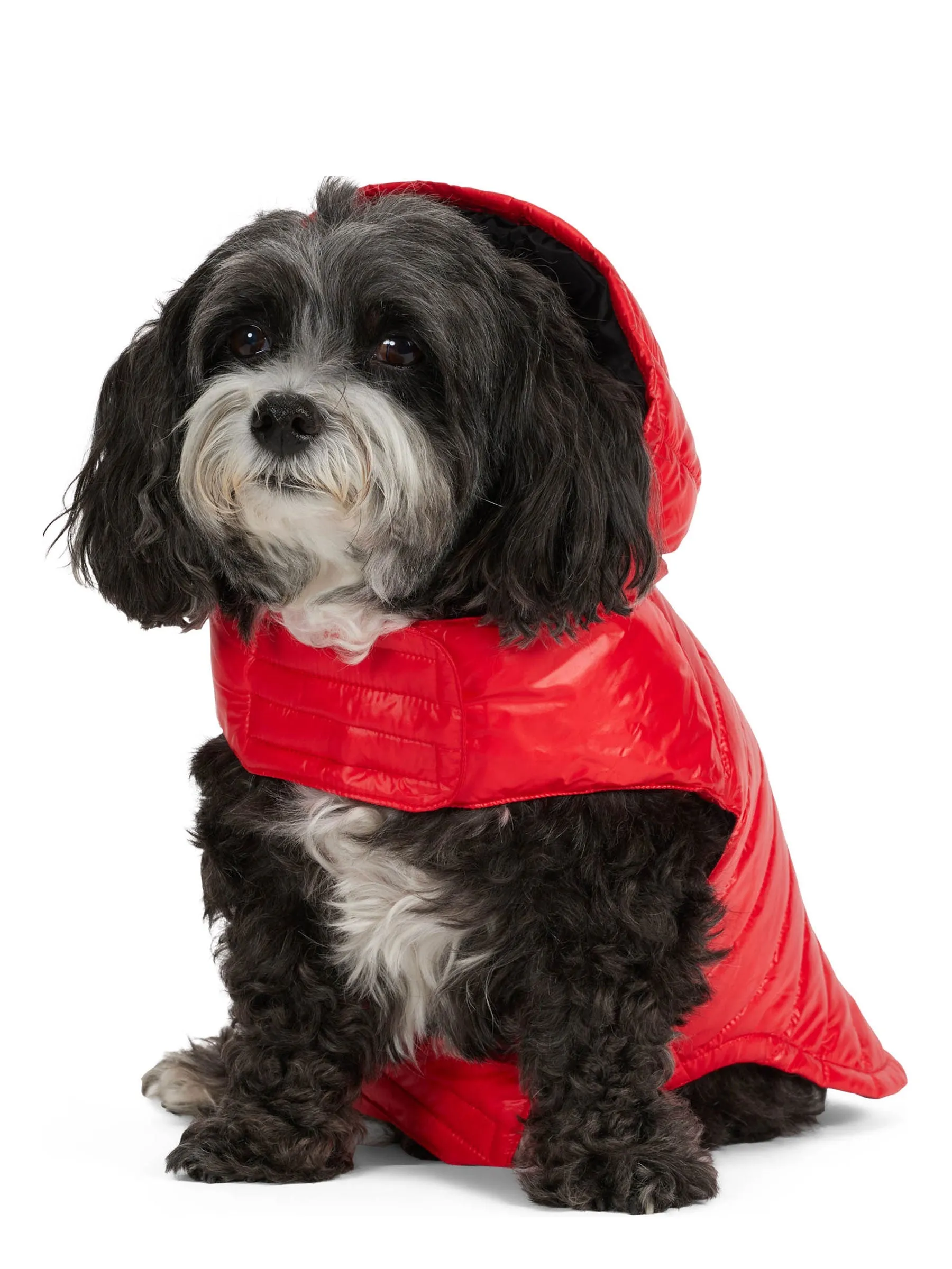 Seymour Lightweight Puffer for Dogs