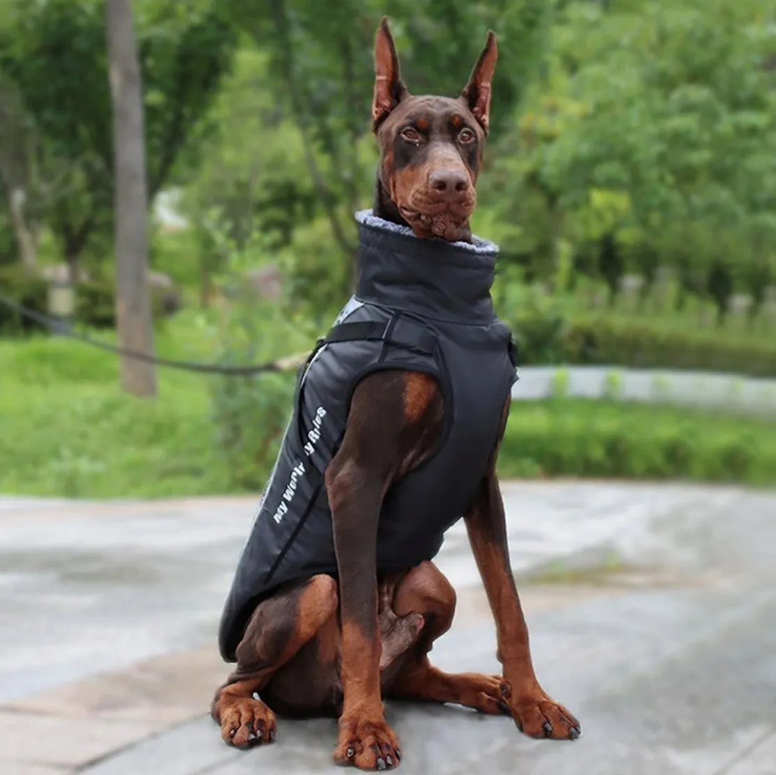 Waterproof Winter Thick Dog Coat With Harness